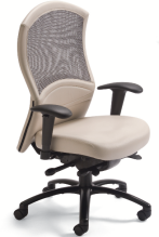0139 - Ergonomic Executive Seating - Ergonomic Seating with Mesh Back